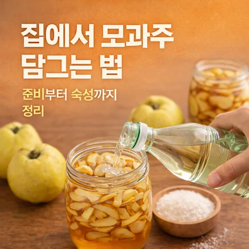 집에서 모과주 담그는 법 썸네일