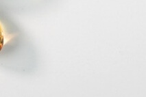 면역력 높이는 영양제 추천