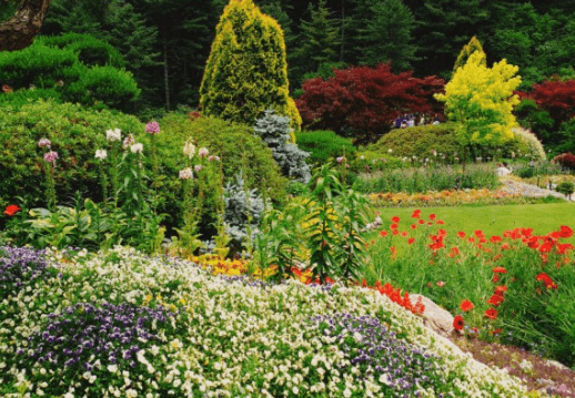 아침고요수목원