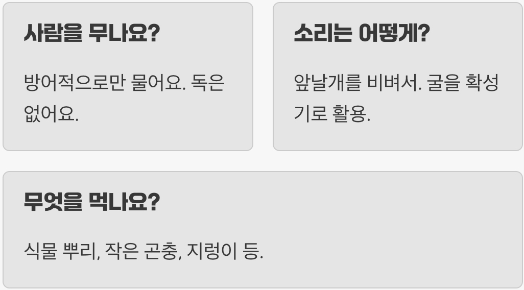 땅강아지, 왜 이름에 '강아지'가 들어갈까? (이름의 유래)