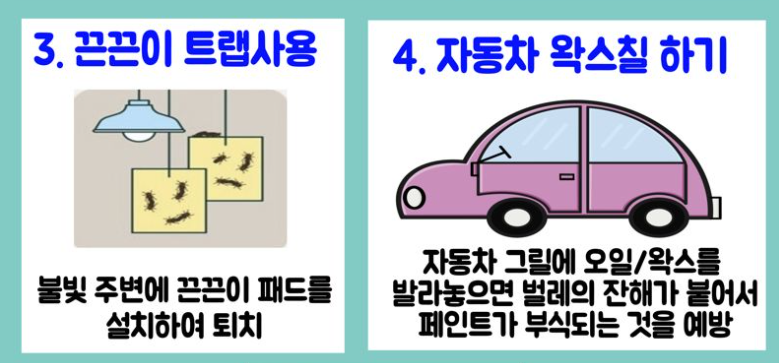 러브버그 퇴치방법