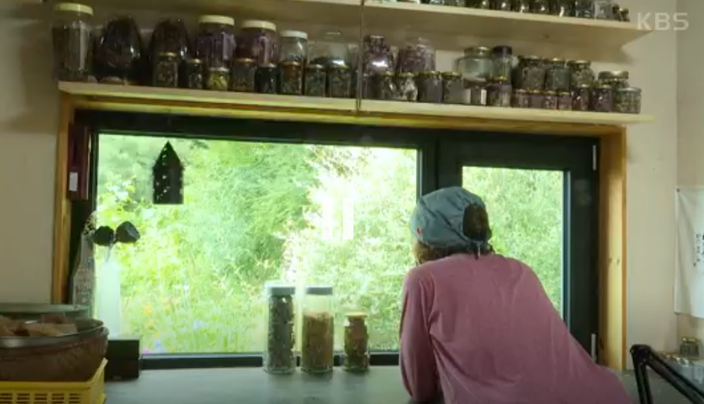 인간극장 꽃밭의 여인 보러 가기 방송시간 레전드 정리 5