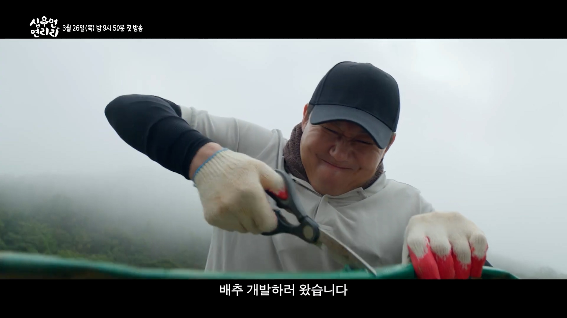 심우면 연리리 줄거리 & 등장인물