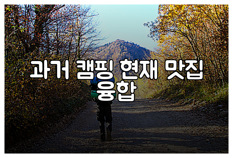 과거 캠핑 현재 맛집 융합