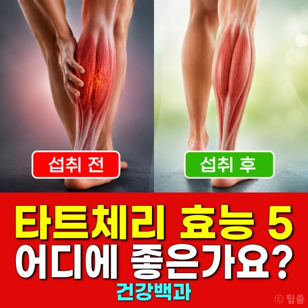 타트체리 어디에 좋은가요 타트체리 효능