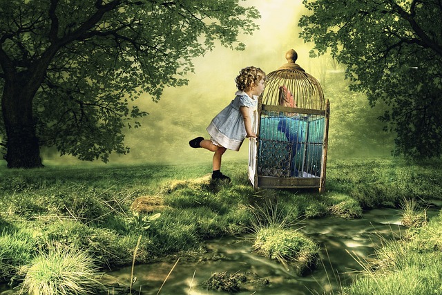 아기 발달 놀이 관련 이미지