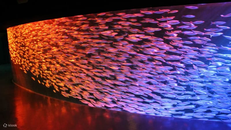 노보리베츠 마린파크 닉스 입장권 예매 프로모션 홋카이도 일본