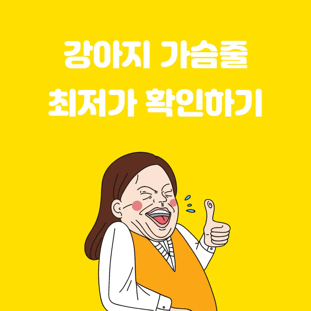 강아지 가슴 줄 순위 TOP 5