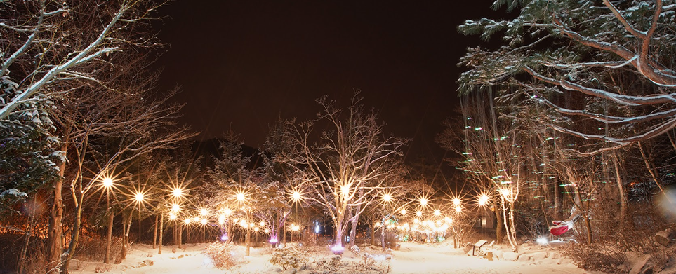 평강랜드 평강식물원