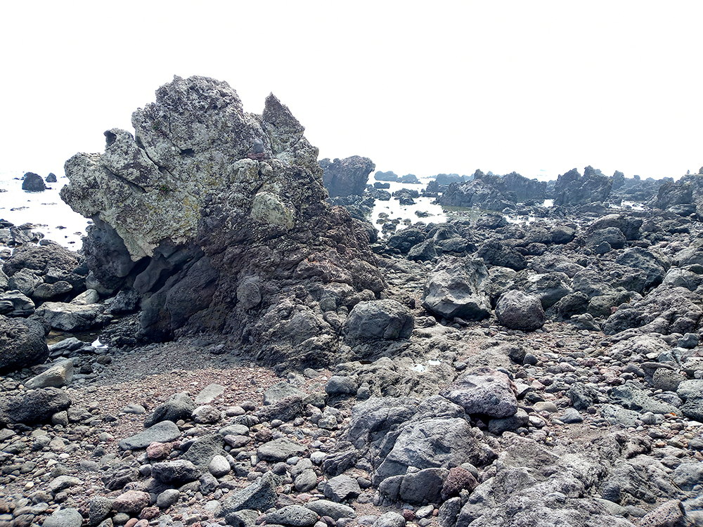 올레8코스 월평아왜낭목쉼터에서~대평포구까지