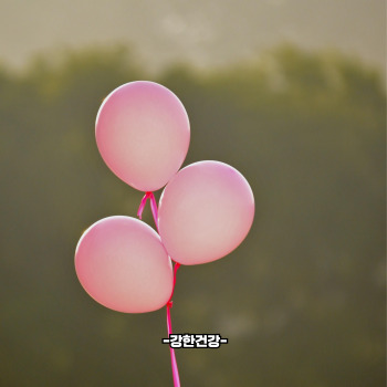 유방암 임파선 전이