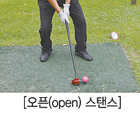 파크골프 샷 스탠스 정렬방법, 샷의 종류