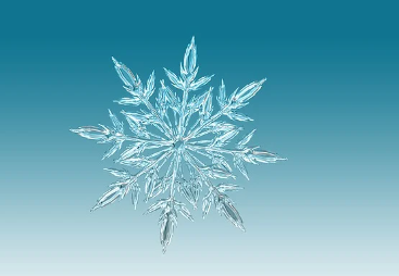 자동차 엔진경고등 원인