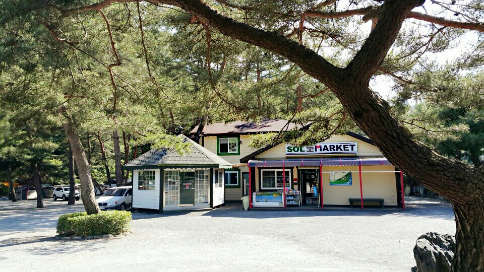 인생캠핑장, 영월 솔밭캠프장 소개