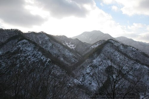 내장산의 겨울
