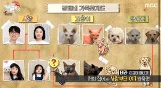 이강태 프로필 전참시 이강태 유튜버 포켓멍센터