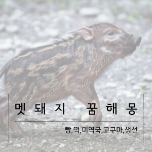 멧돼지 꿈해몽