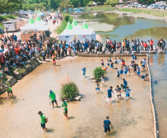 담양 대나무축제