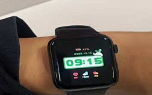 서울시 스마트워치 손목닥터9988