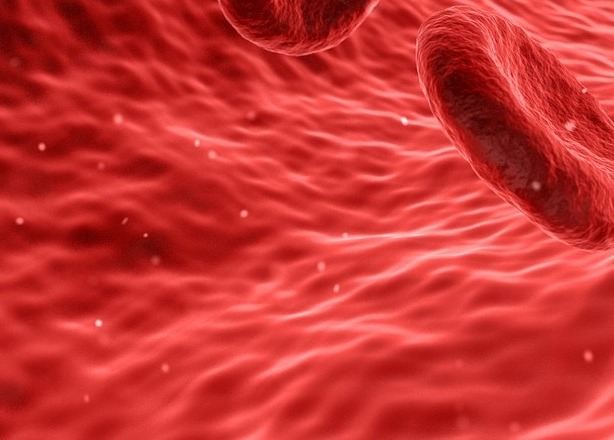 hdl콜레스테롤 정상수치