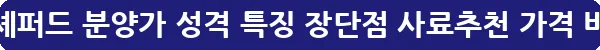 피레니언 셰퍼드 분양가 성격 특징 장단점 사료추천 가격_11