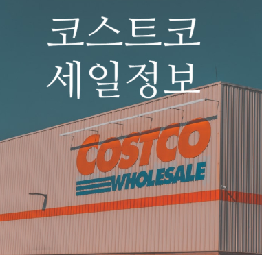 2025년 올리브영·자라·유니클로·롯데백화점·코스트코 세일 일정 총정리
