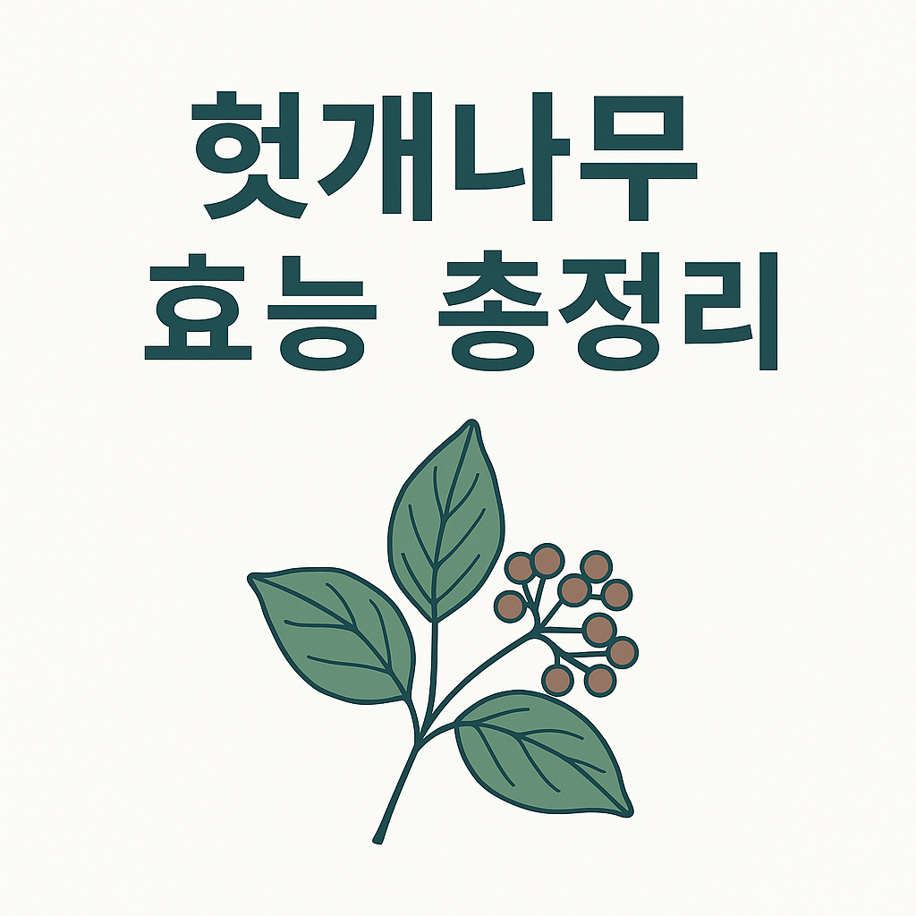 헛개나무 효능 총정리, 간 건강과 숙취 해소에 좋은 이유