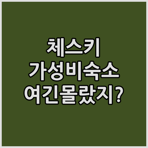 체스키 크룸로프 1박 2일 여행을 위..