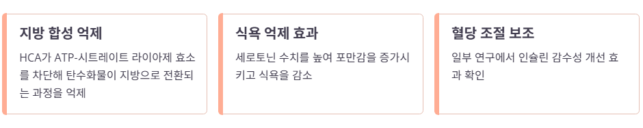 가르시니아의 주요 효능