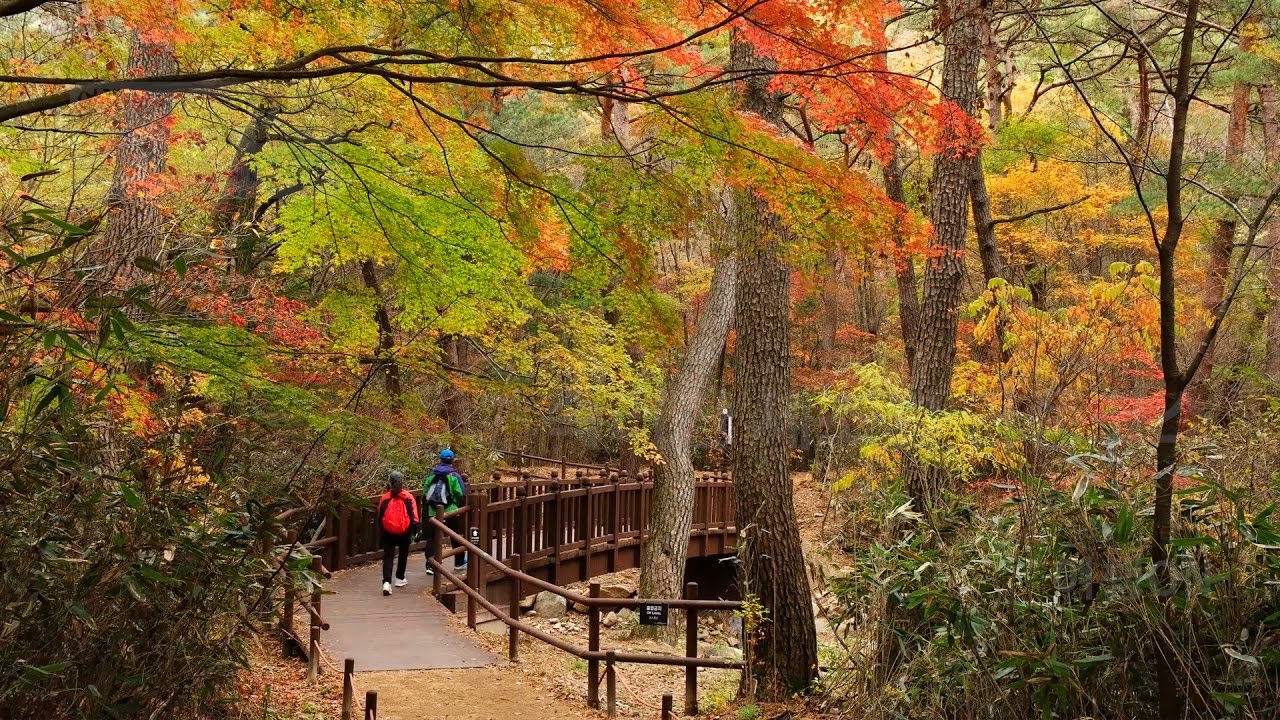 가을 단풍 명소