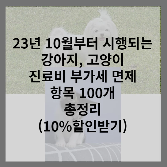 동물진료비-부가세-면제