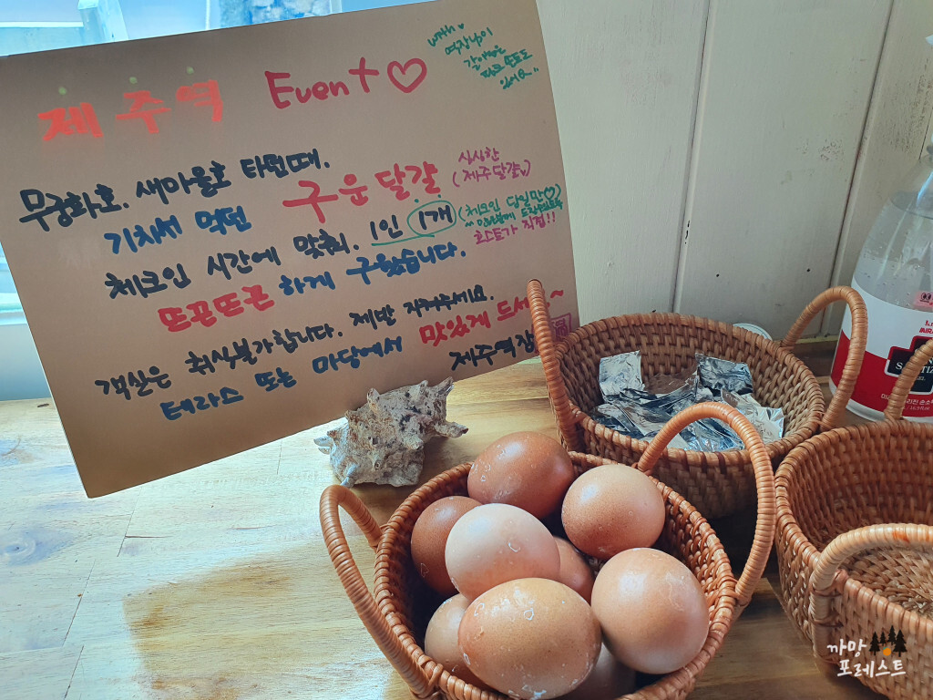제주역 게스트하우스 구운계란