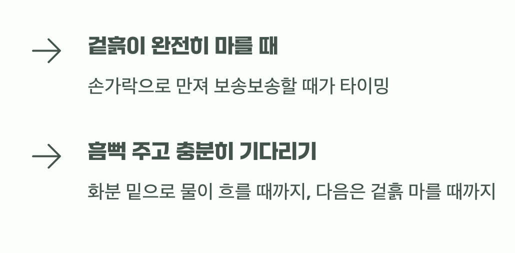 물주기의 핵심, 겉흙은 보송하게