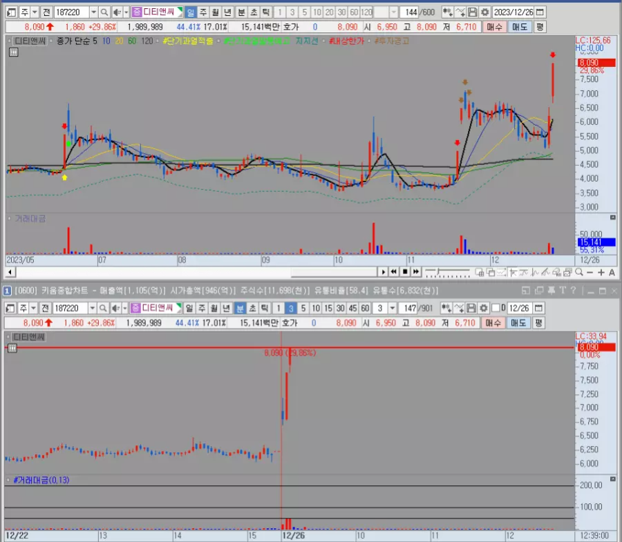 디티앤씨 일봉 및 분봉