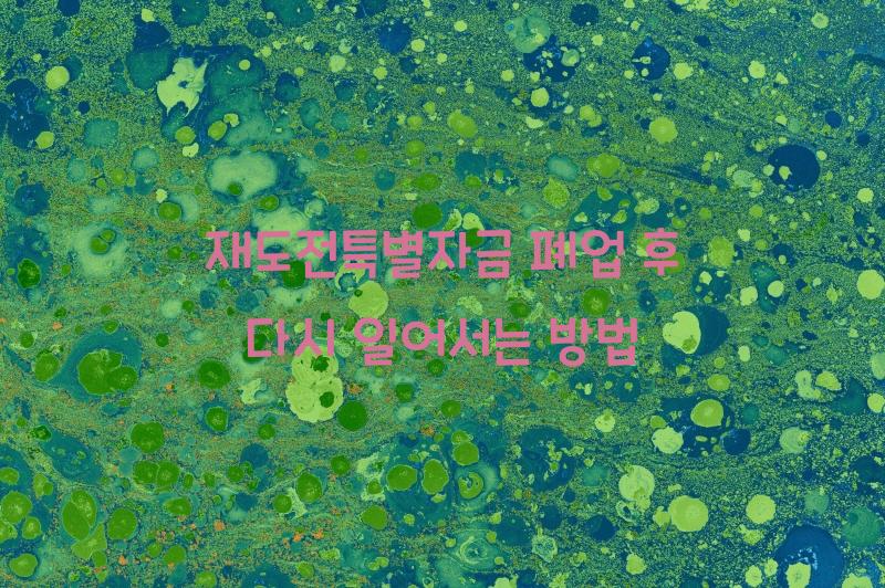 재도전특별자금