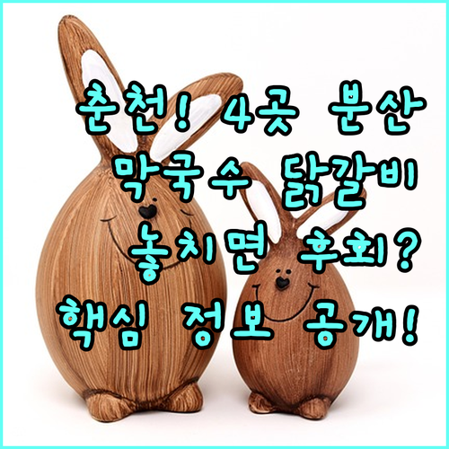 2025 춘천 막국수닭갈비축제 4일간..