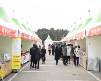 영덕 대게축제_33