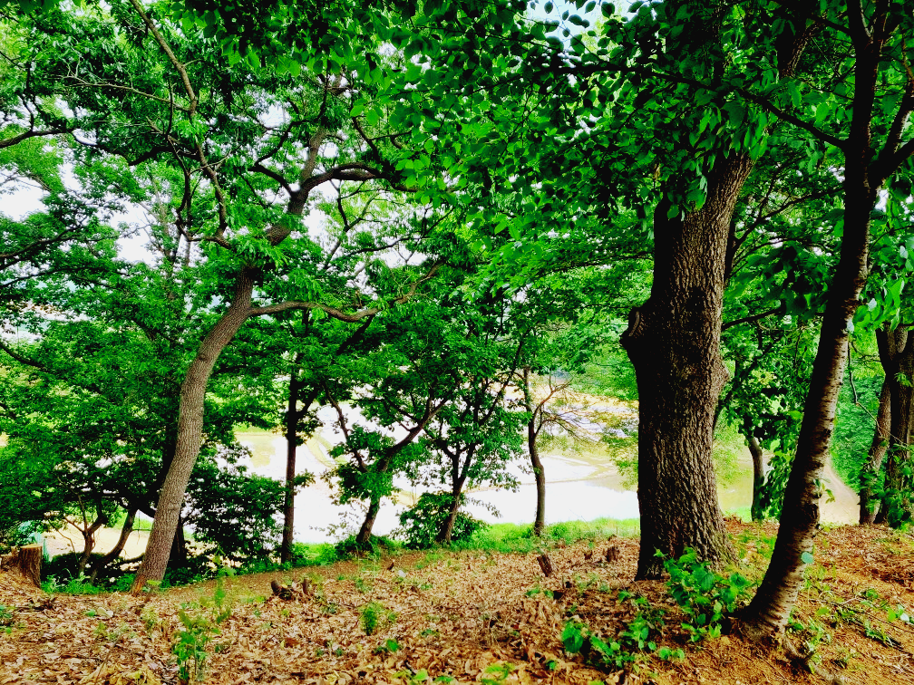 김포 가혜리카페: 또 가고 싶은 자연 속 브런치카페&amp;#44; 리뷰이벤트&amp;#44; 평화누리길