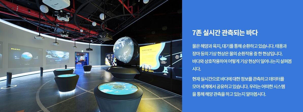 7존