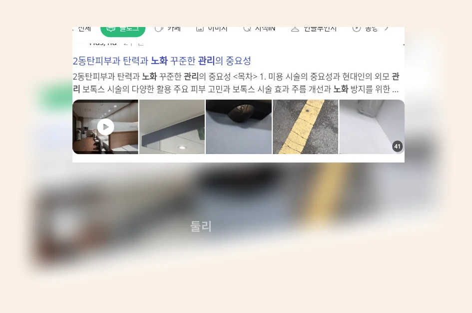 노화 관리_1_subsection
