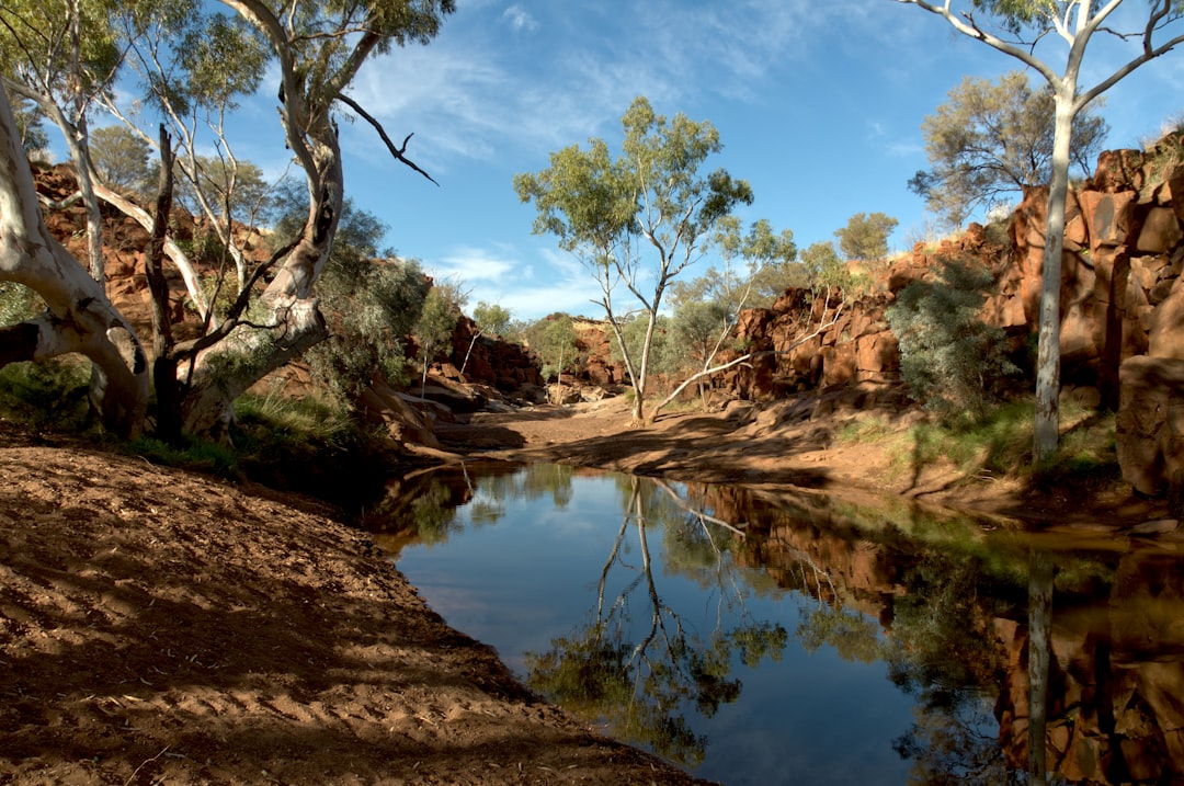 Outback