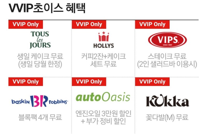 VVIP초이스
