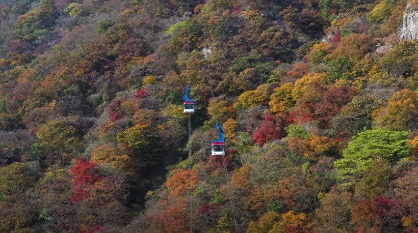 내장산-케이블카-사진