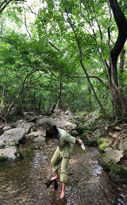 선운사 템플스테이