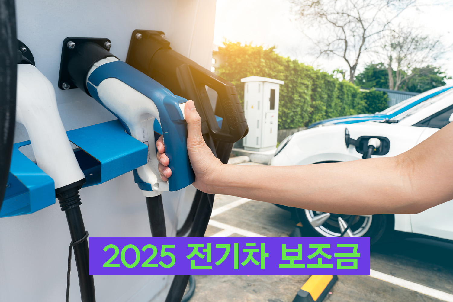 전기차 보조금