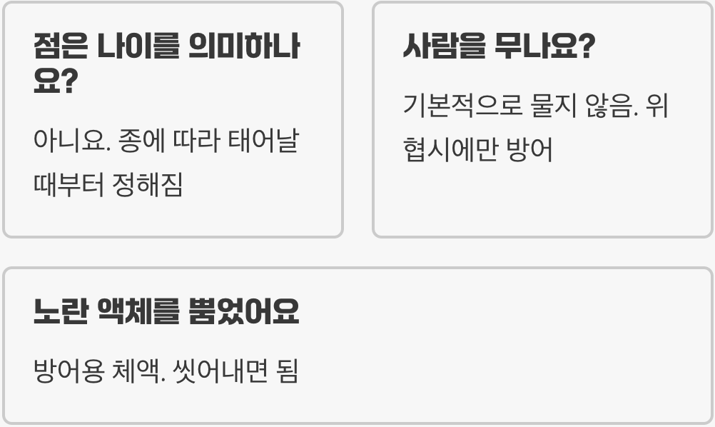 왜 '무당'벌레일까? 무당벌레 이름의 유래와 숨겨진 뜻