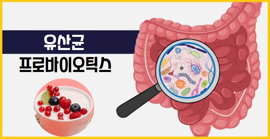유산균 프로바이오틱스