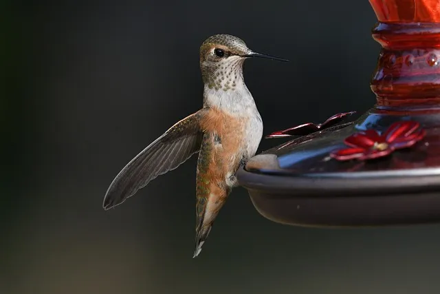 옥천 가볼만한곳 베스트10 현지인 추천 필수코스_5