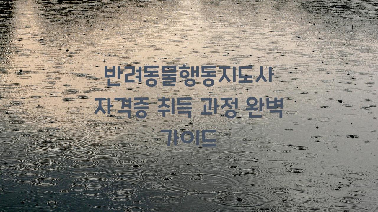 반려동물행동지도사