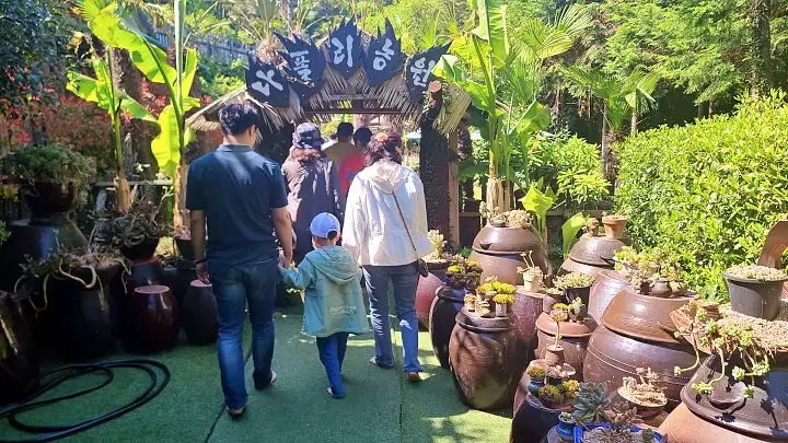 생방송오늘저녁 통영 편백남 숲 속 힐링 맨발 체험 여행 가볼만한 곳 추천